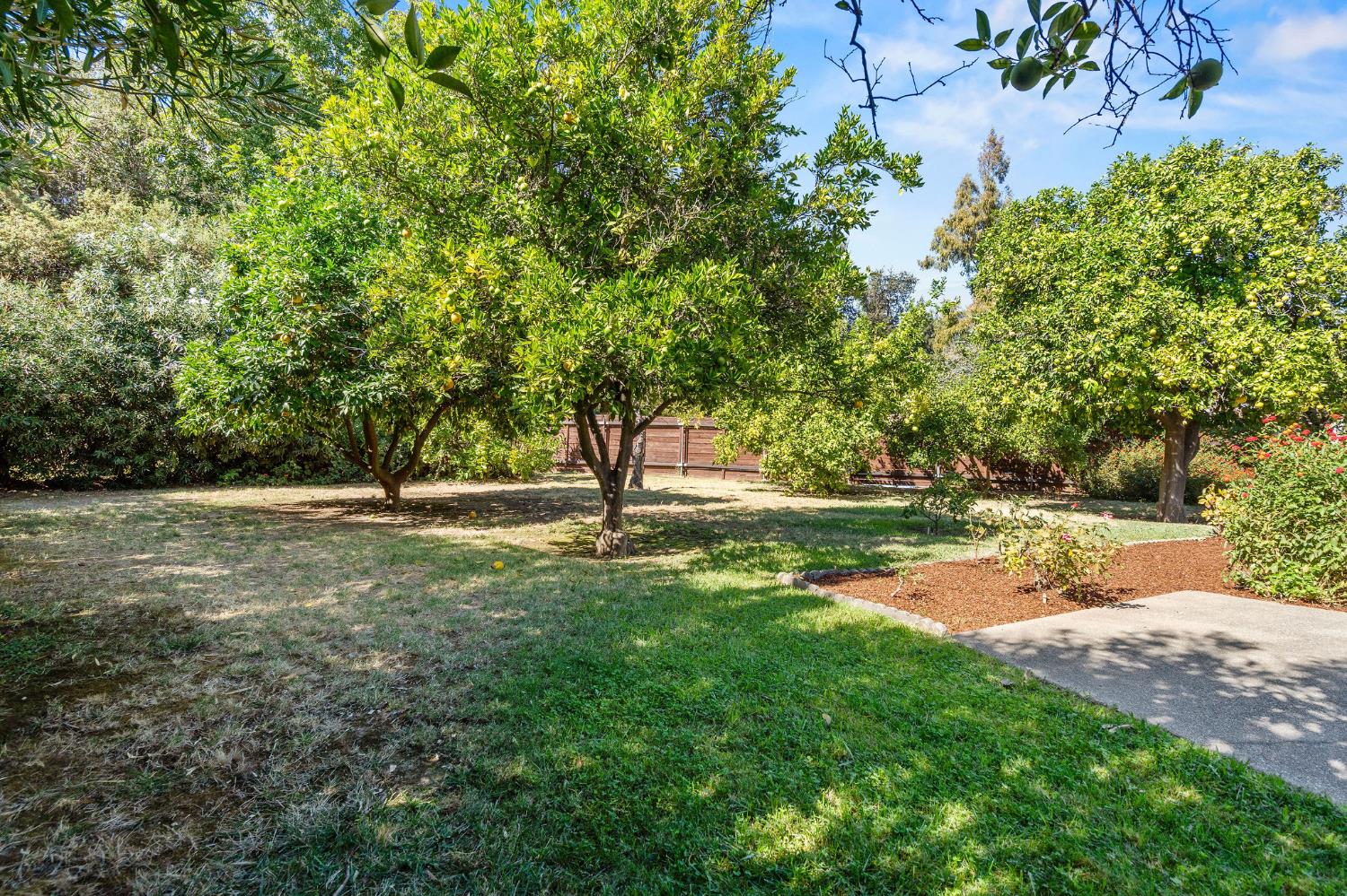 519 Grovesnor Court