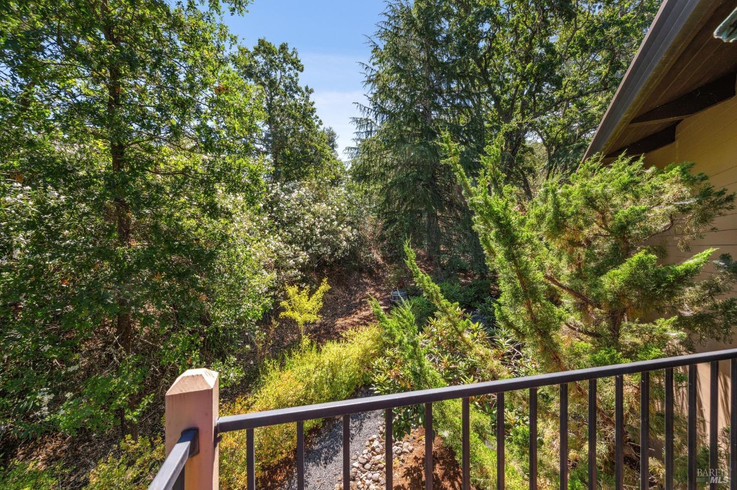 650 Wild Oak Drive None