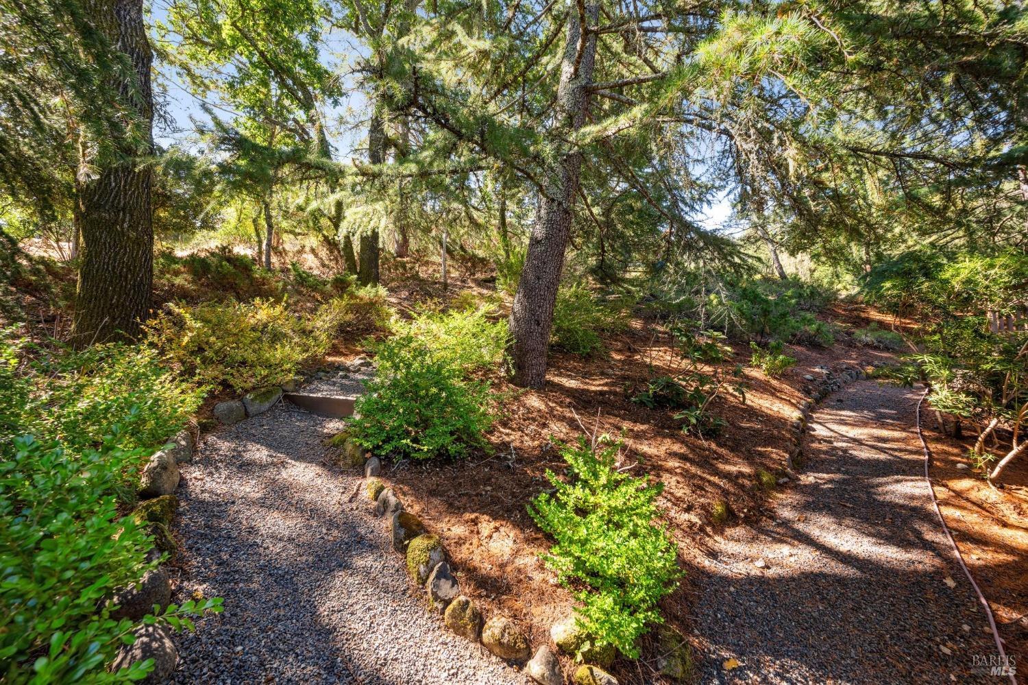 650 Wild Oak Drive None