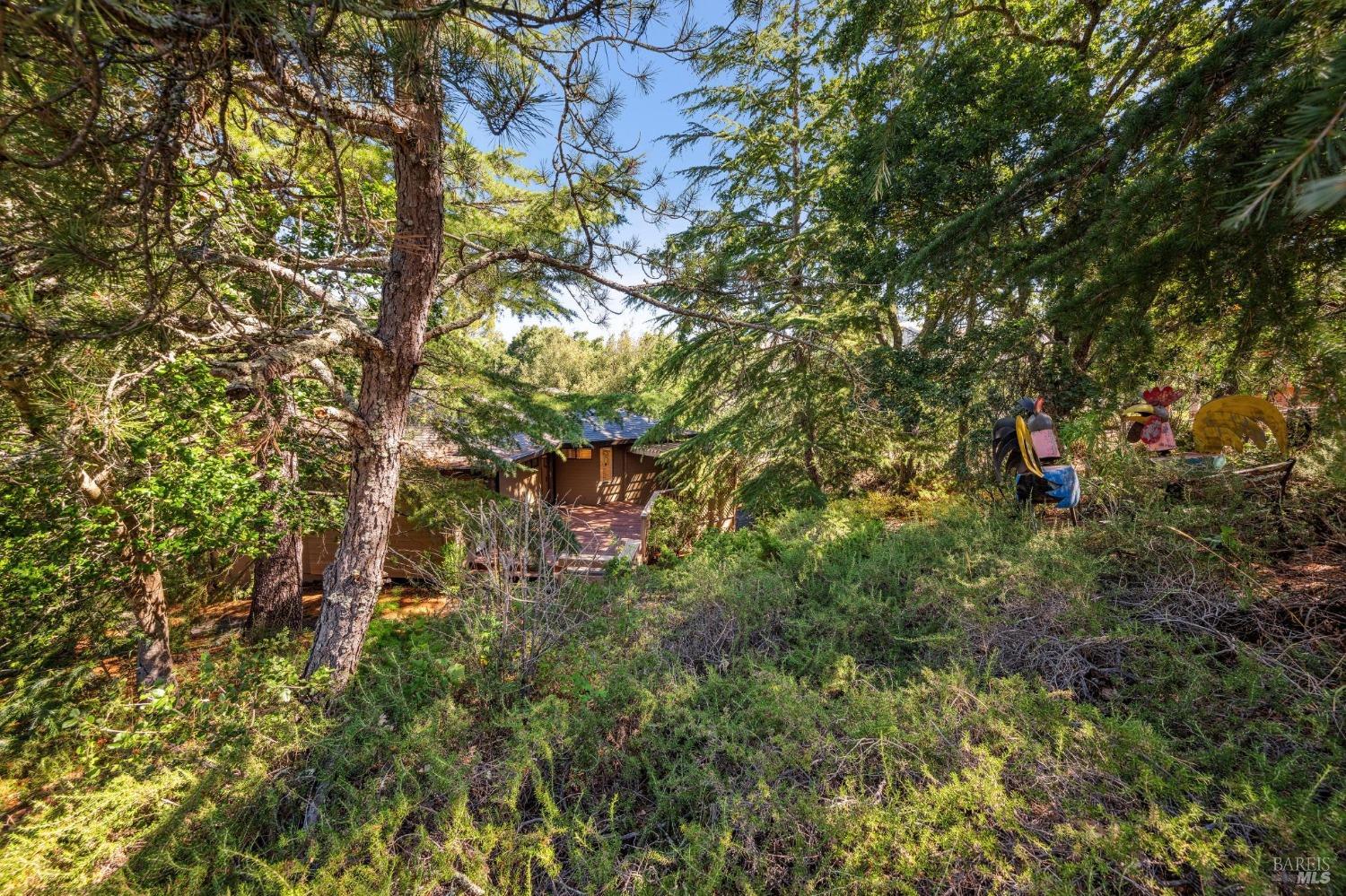 650 Wild Oak Drive None