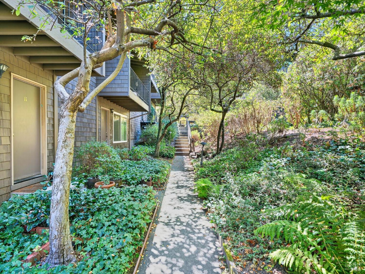 1411 Casa Buena Drive