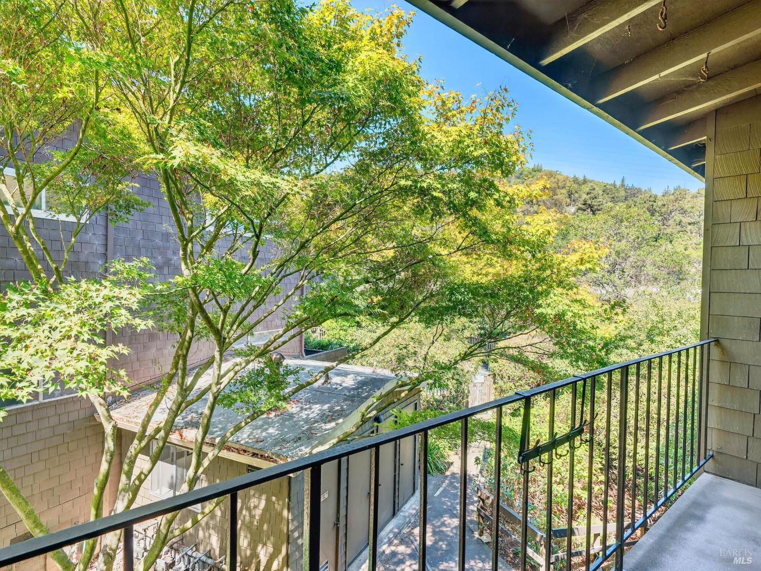 1411 Casa Buena Drive 14