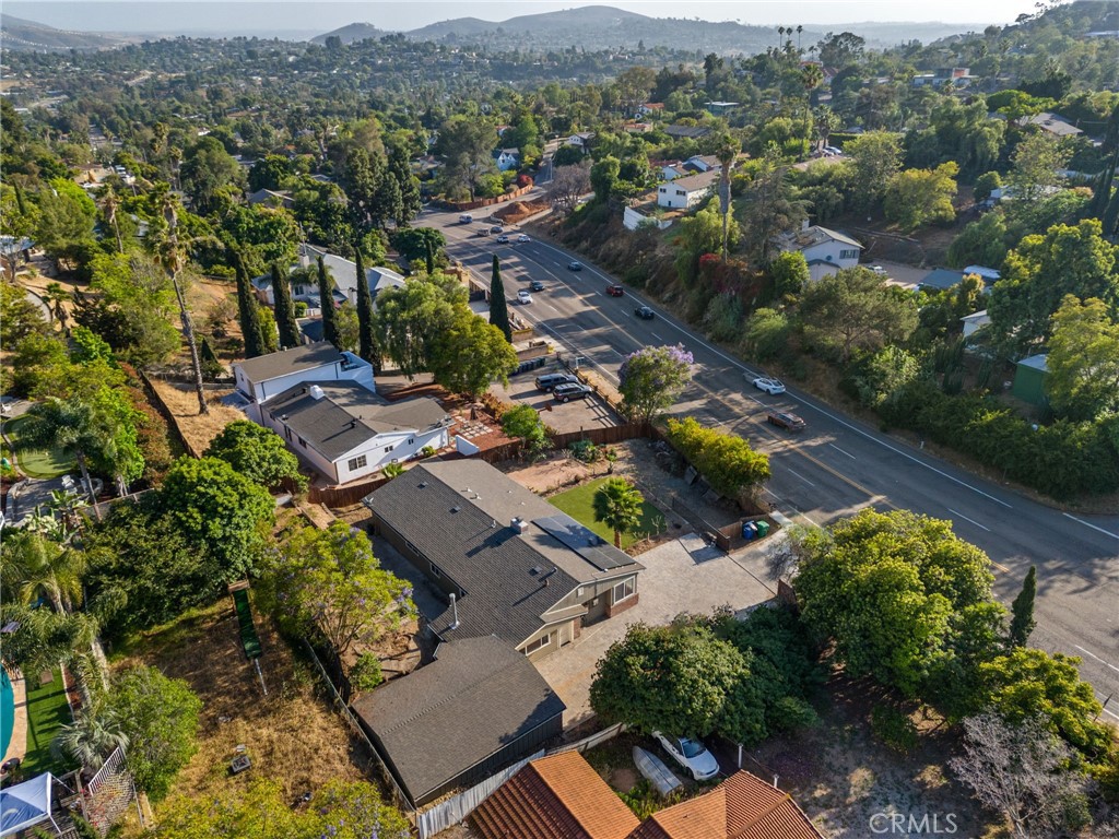 4535 Avocado