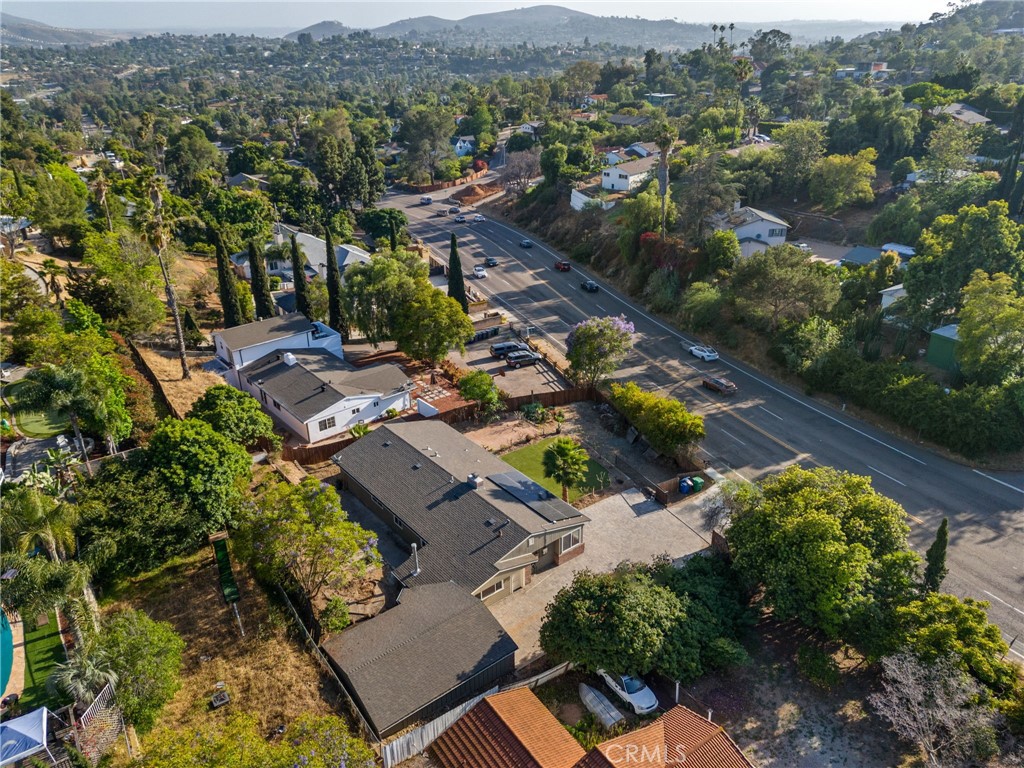 4535 Avocado