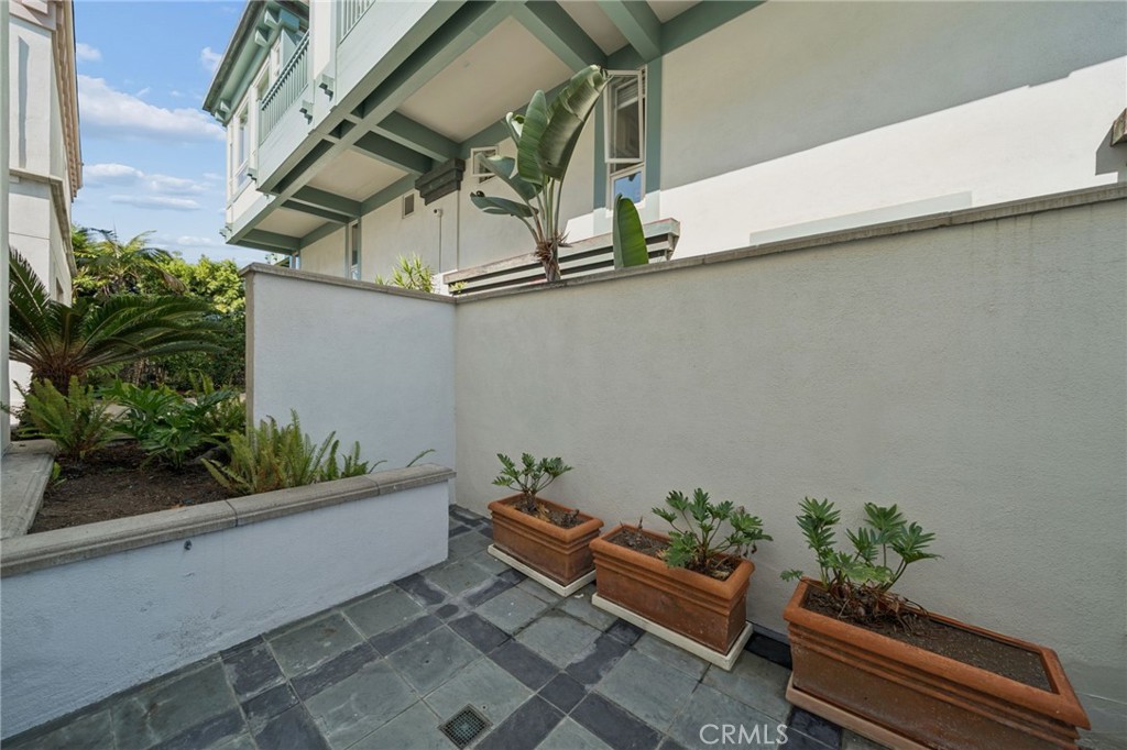 8031 Calle De La Plata