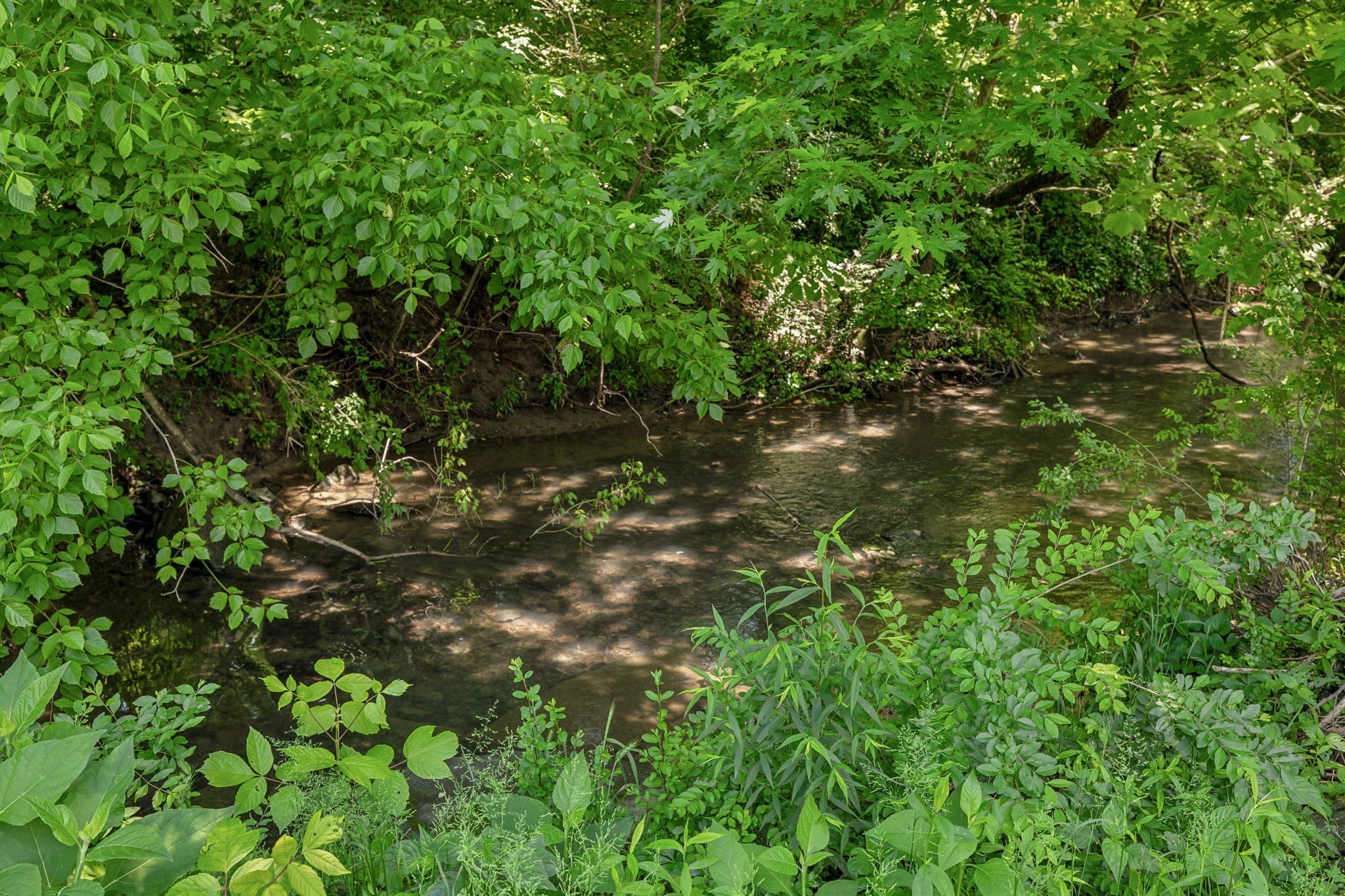 3138 Boulder Park Dr