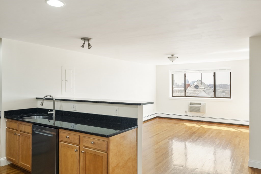 44 Lafayette Ave. # 308