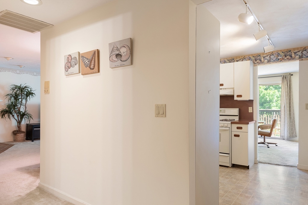 225 Lincoln St. # B5