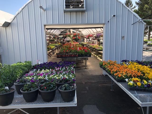 Garden Pleasures, Business For Sale in Erhard MN