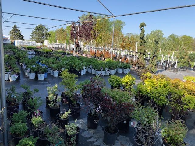 Garden Pleasures, Business For Sale in Erhard MN