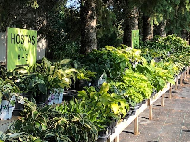 Garden Pleasures, Business For Sale in Erhard MN
