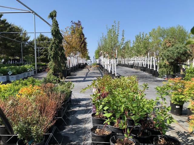 Garden Pleasures, Business For Sale in Erhard MN