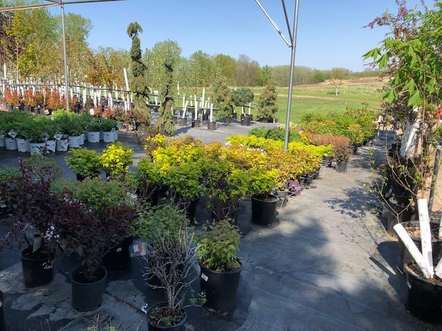 Garden Pleasures, Business For Sale in Erhard MN