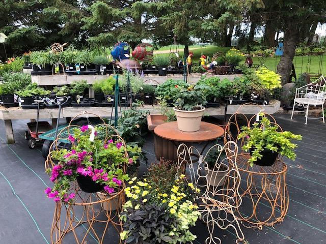 Garden Pleasures, Business For Sale in Erhard MN
