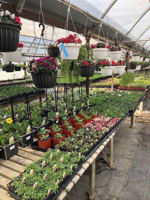 Garden Pleasures, Business For Sale in Erhard MN