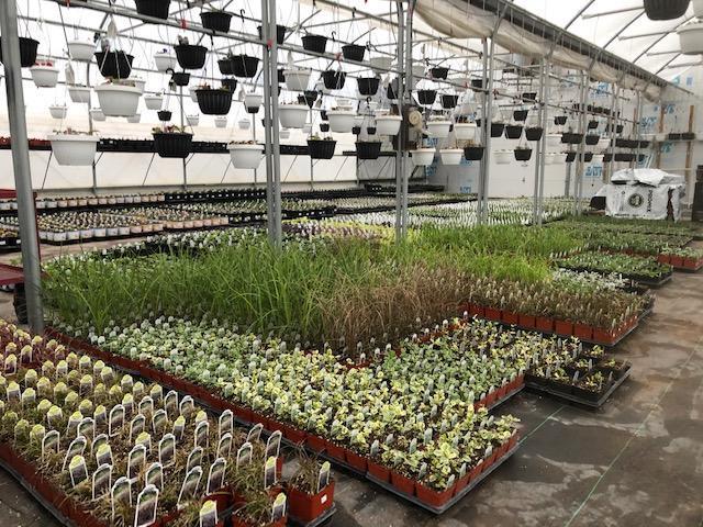 Garden Pleasures, Business For Sale in Erhard MN