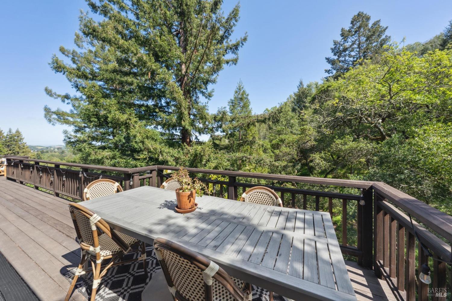 25 Palomino Cir