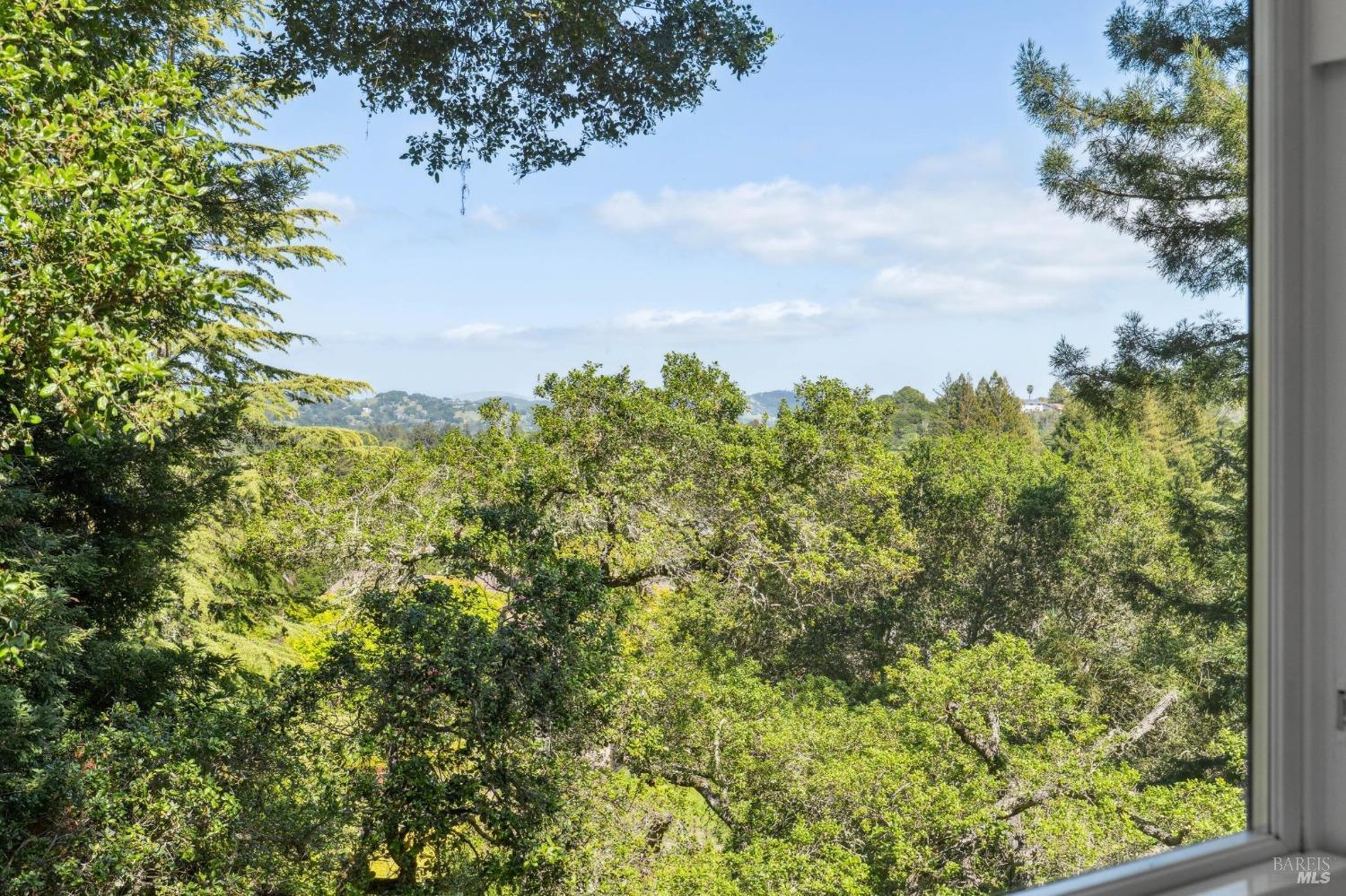 25 Palomino Cir