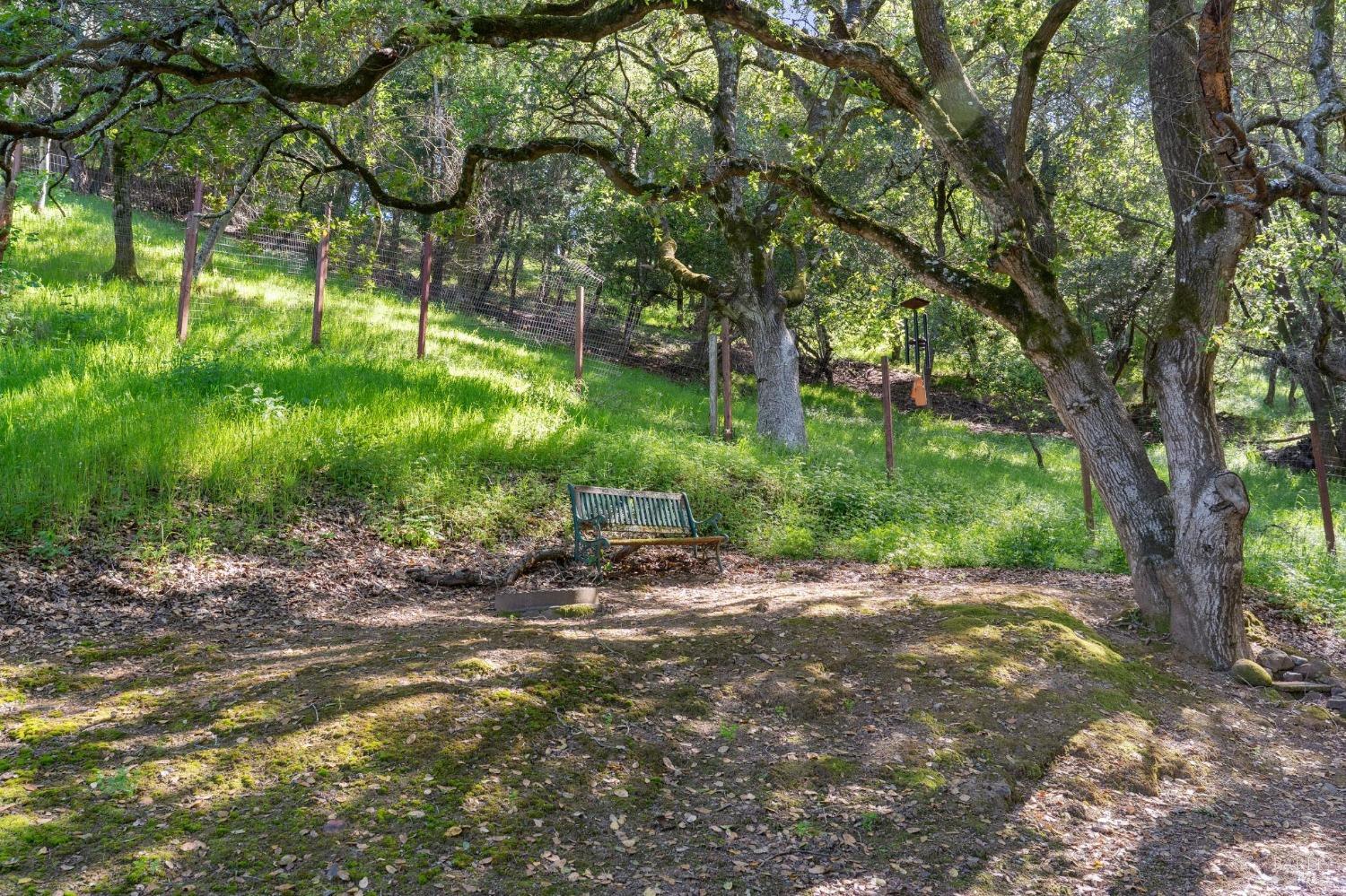 25 Palomino Cir