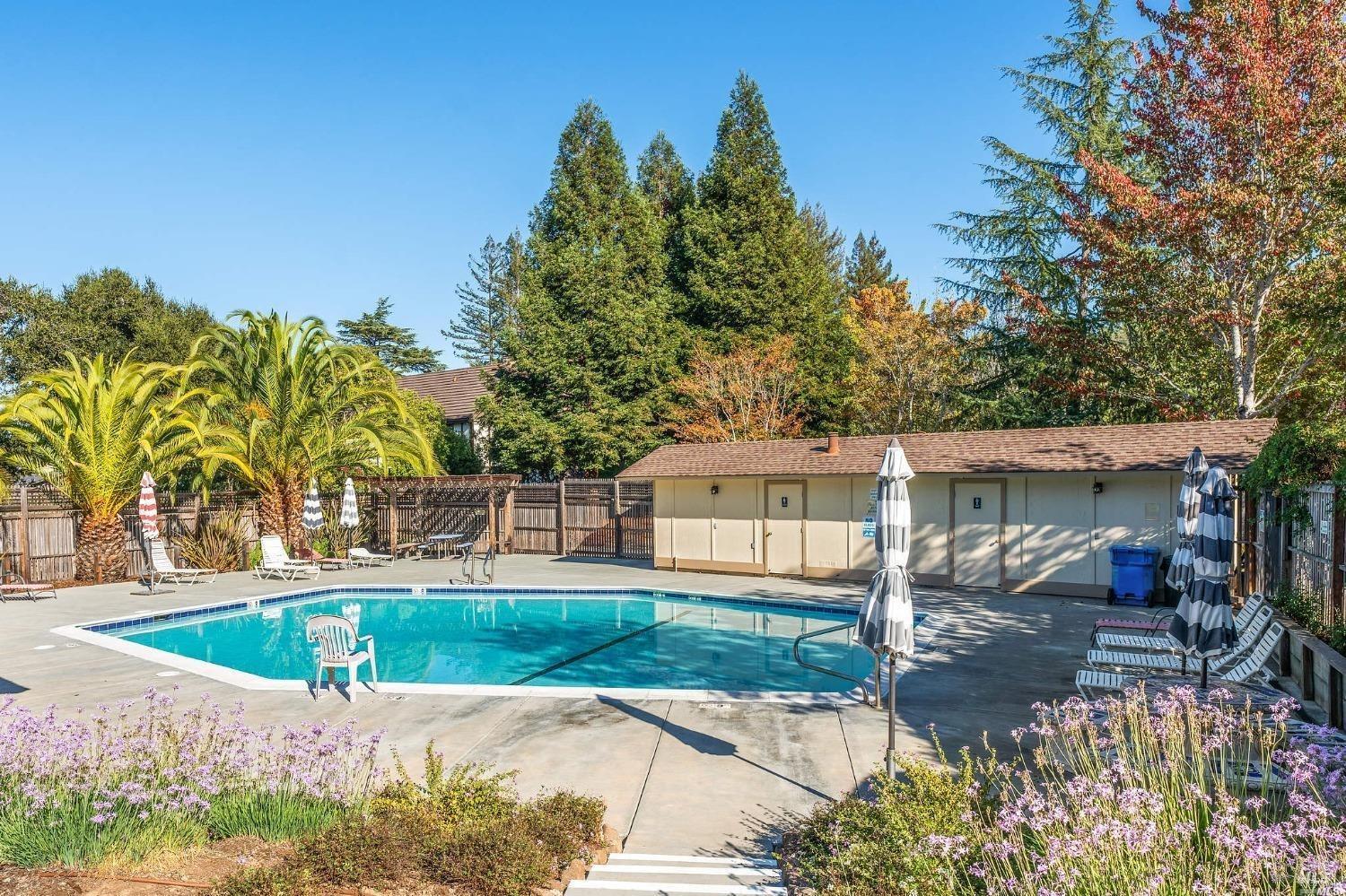 25 Palomino Cir