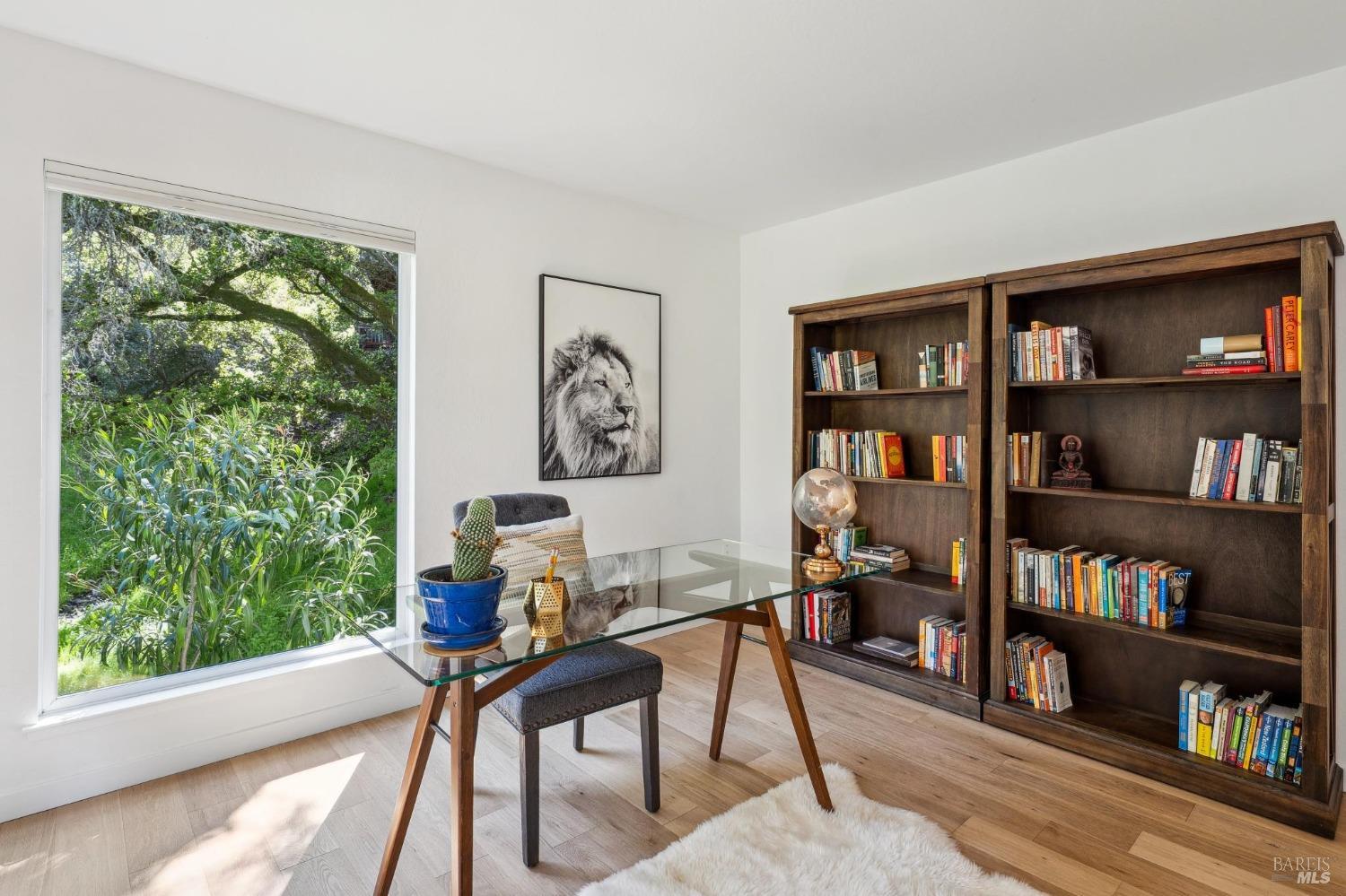 25 Palomino Cir
