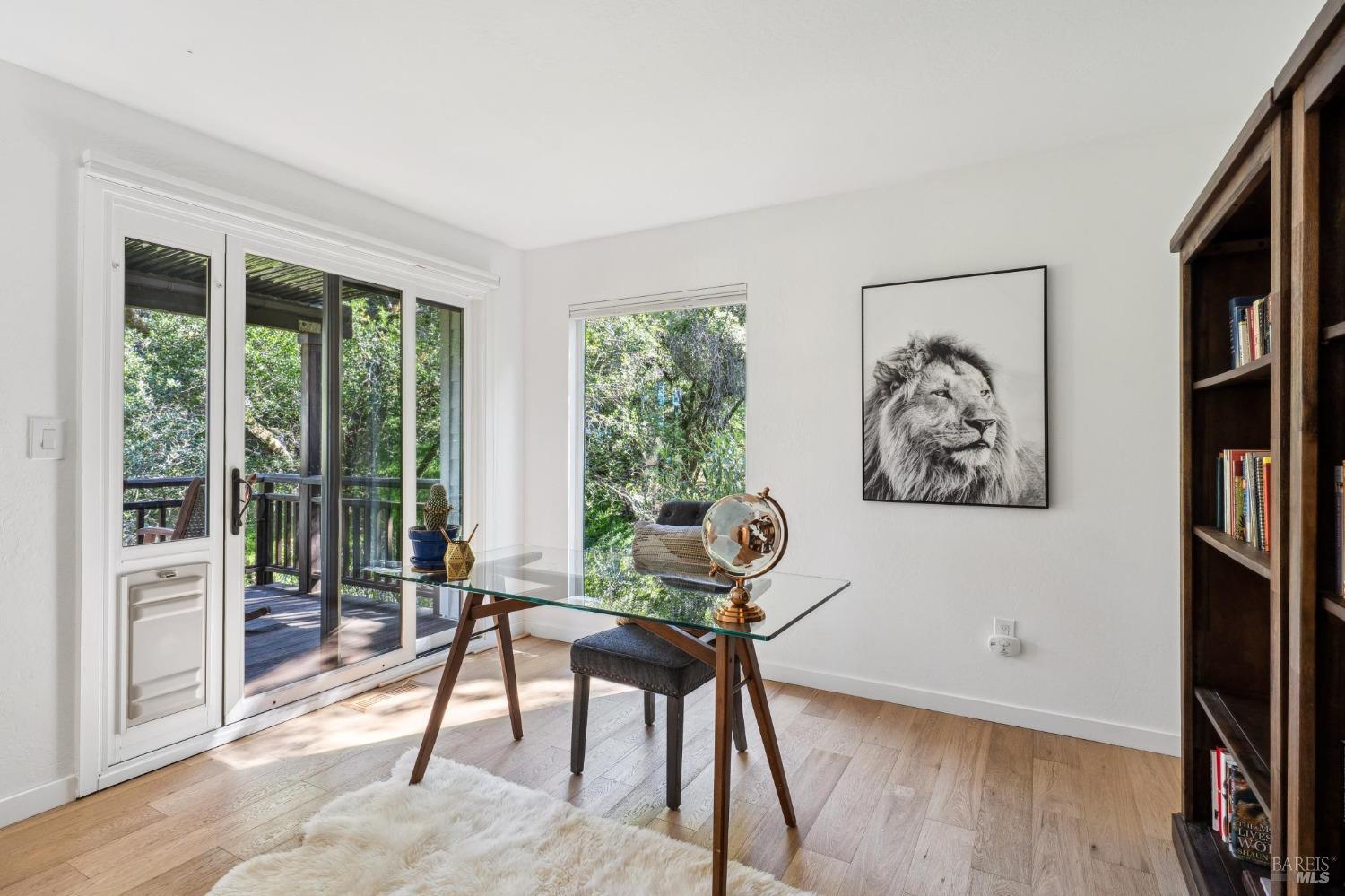 25 Palomino Cir