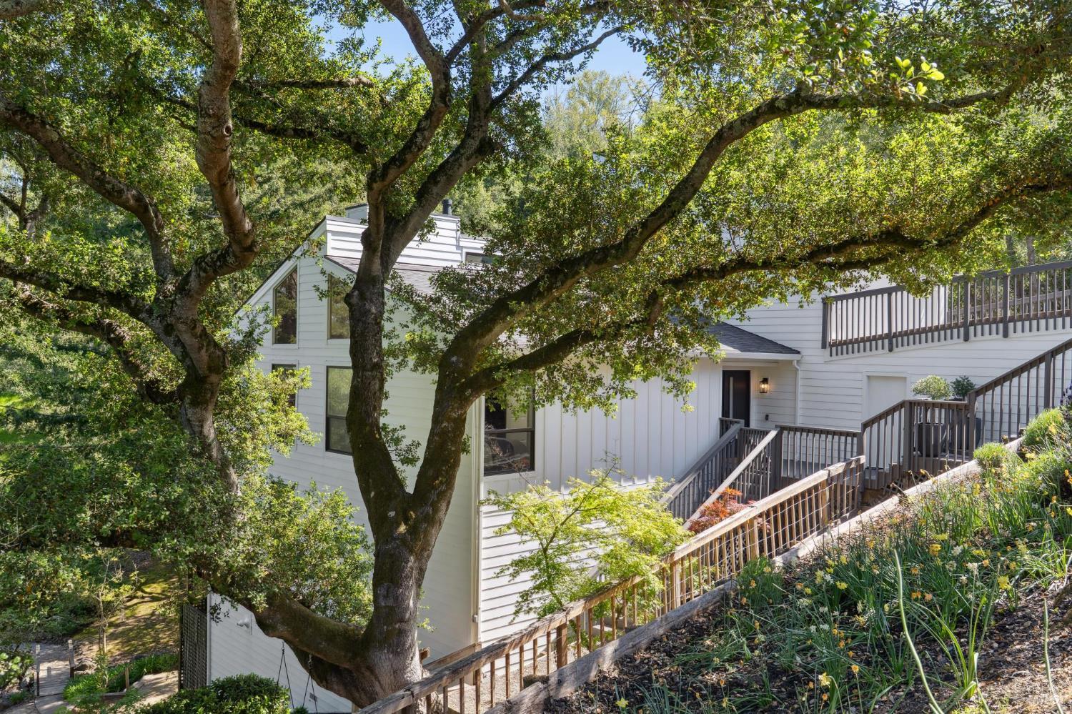 25 Palomino Circle