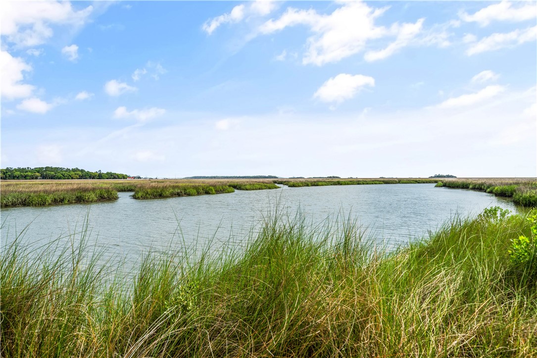 Tidal creek winding through a grassy coastal marsh, with tall reeds in the foreground.