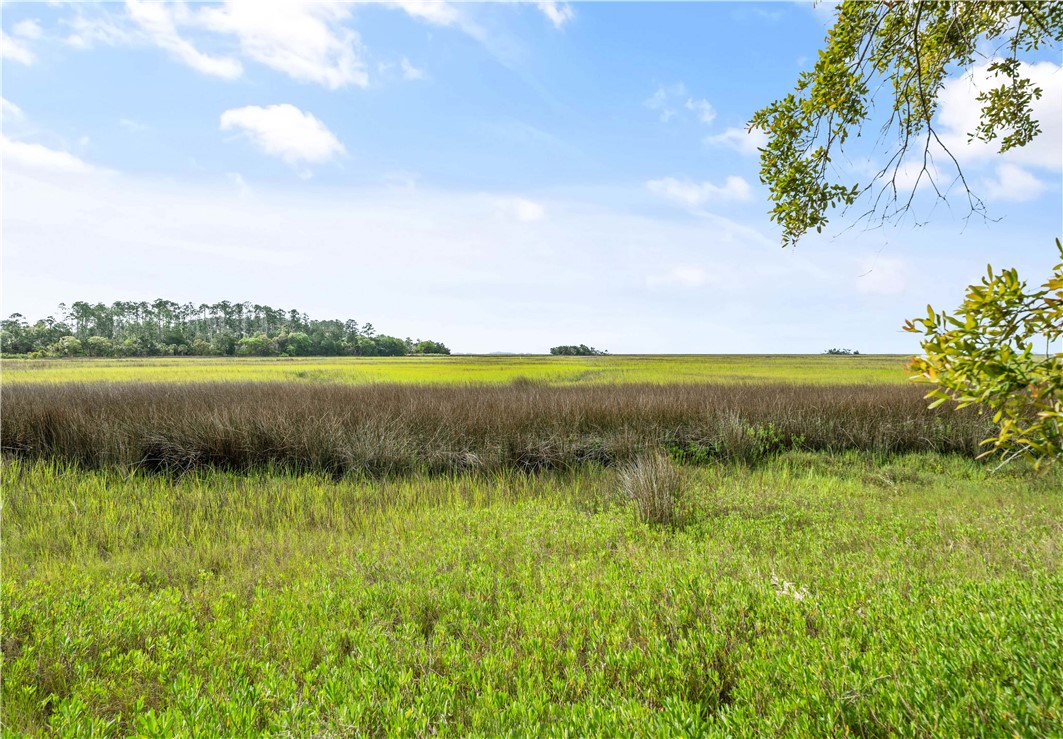 Coastal marshland with green grasses, distant trees, and leafy branches beneath a blue sky.