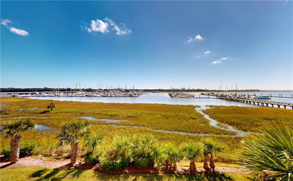 Marina and sailboats beyond golden marshland, viewed over palm trees.