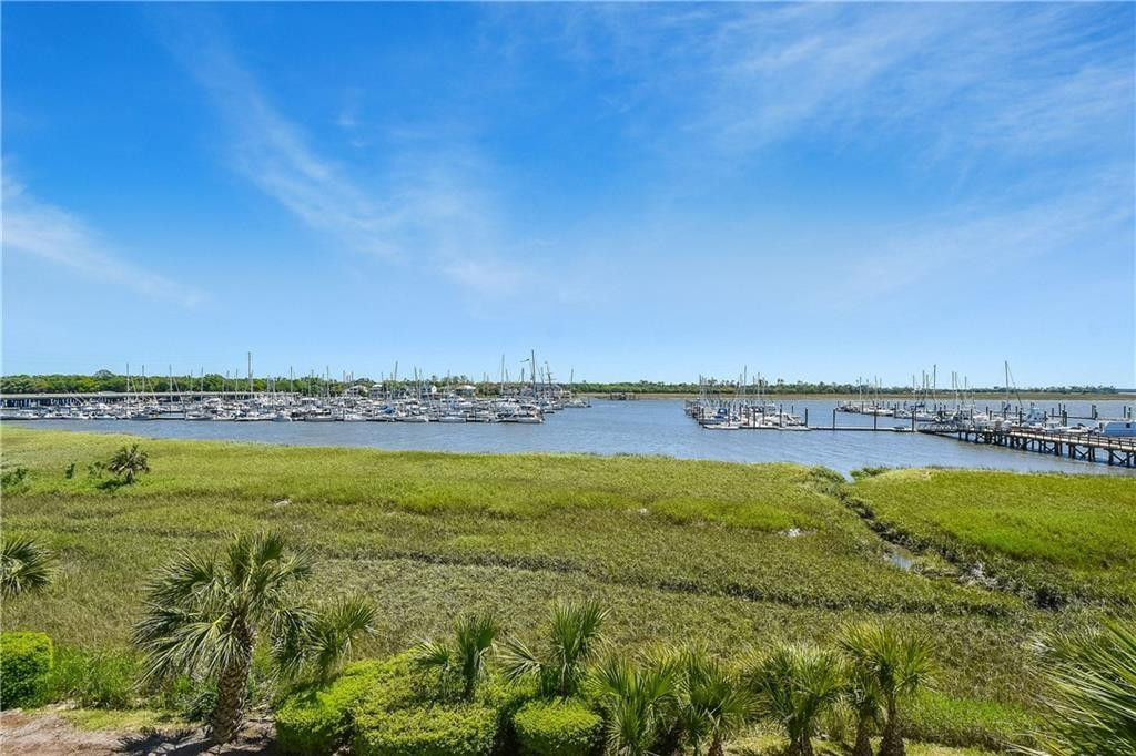 Waterfront marina and boats across green marshland, viewed past palm trees.