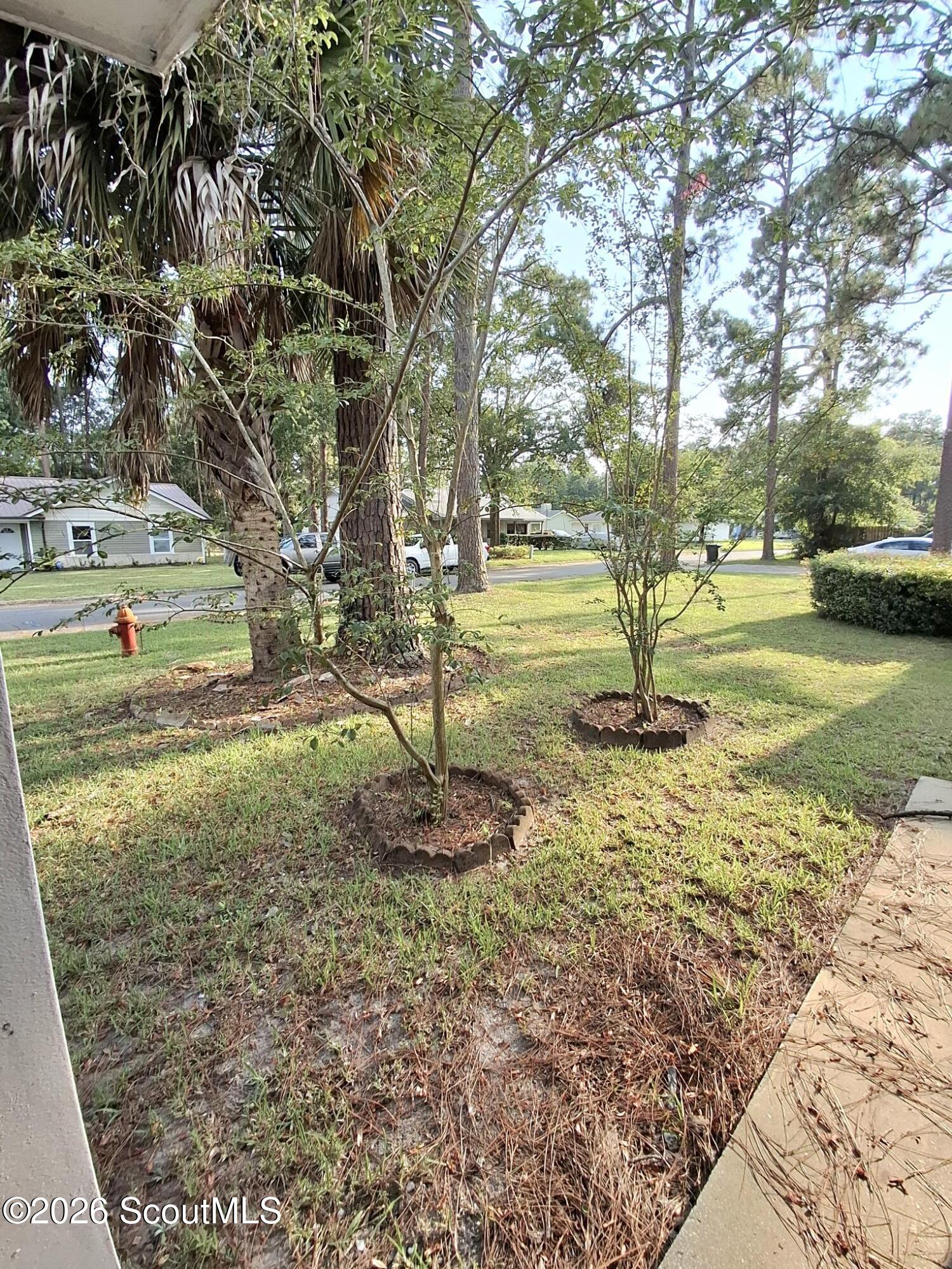 Front yard with mature trees, two landscaped planting beds, and a view toward the street.
