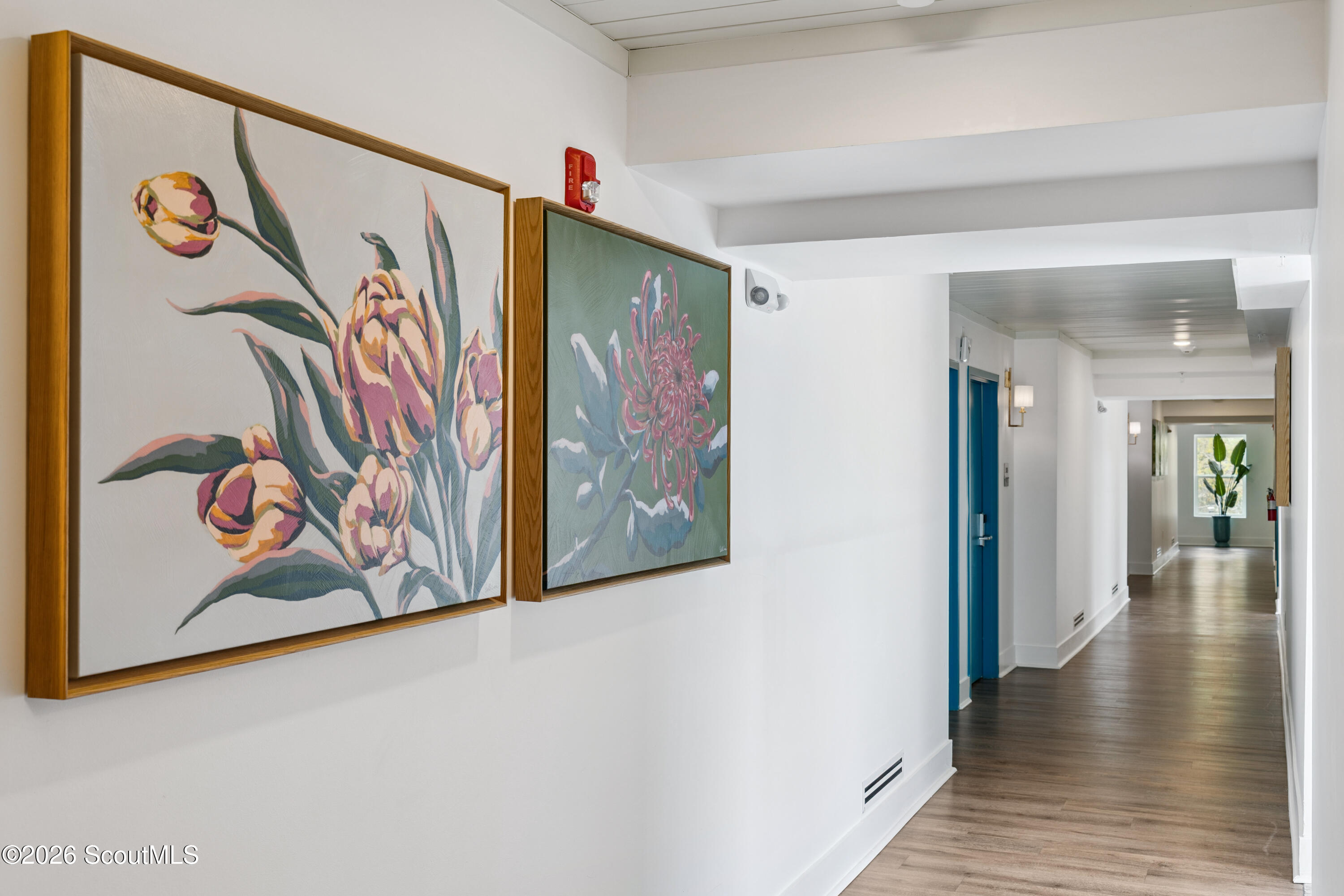 Condominium hallway with framed floral paintings, blue doors, and wood-look flooring.
