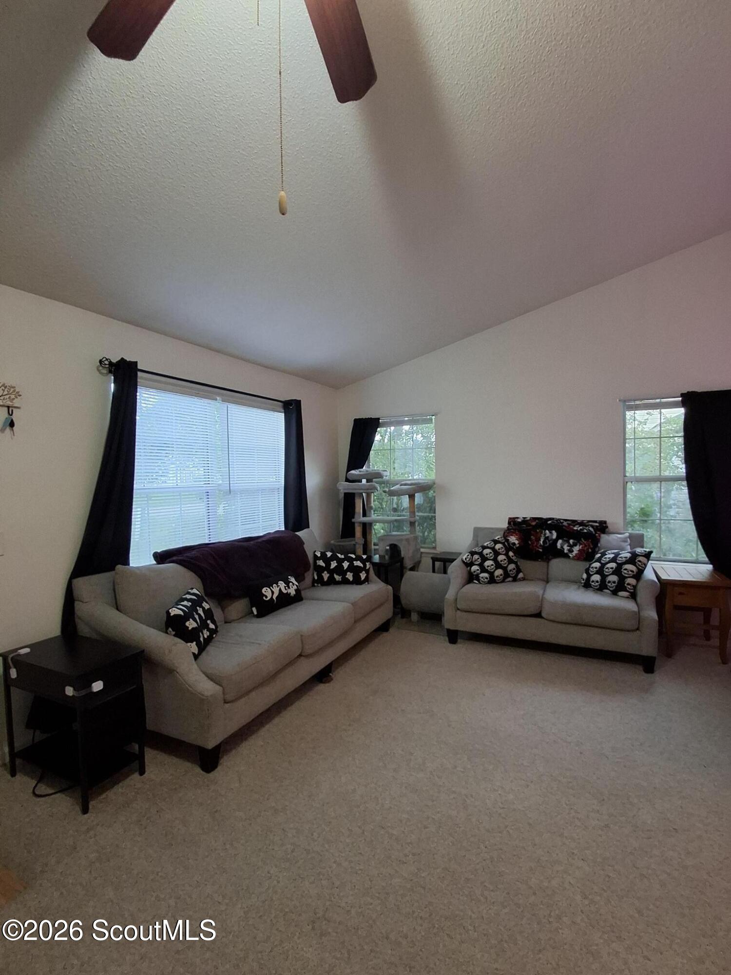 Living room with two beige sofas, skull-patterned pillows, and a cat tree between curtained windows.