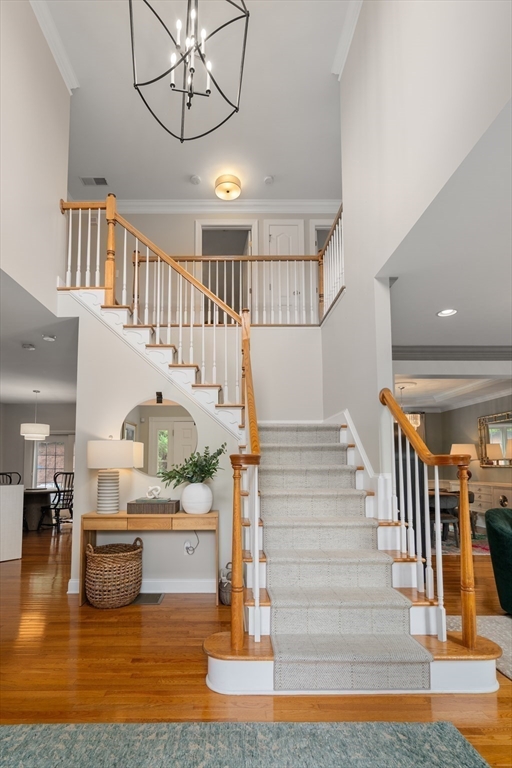 49 Hound Pack Circle