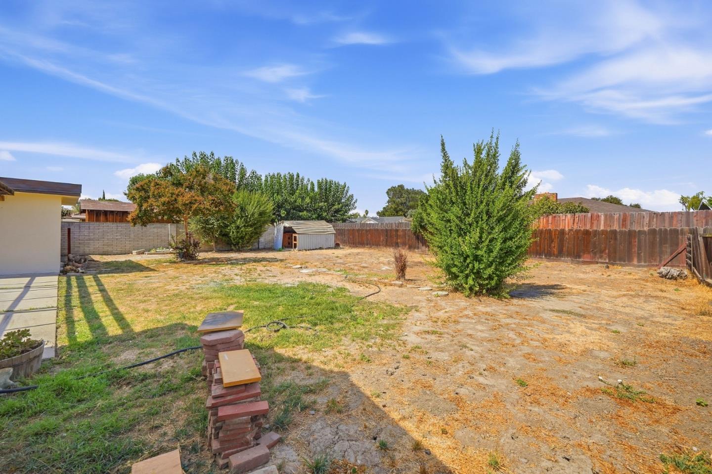 Fenced backyard with patchy dry grass, mature trees, and a small shed.