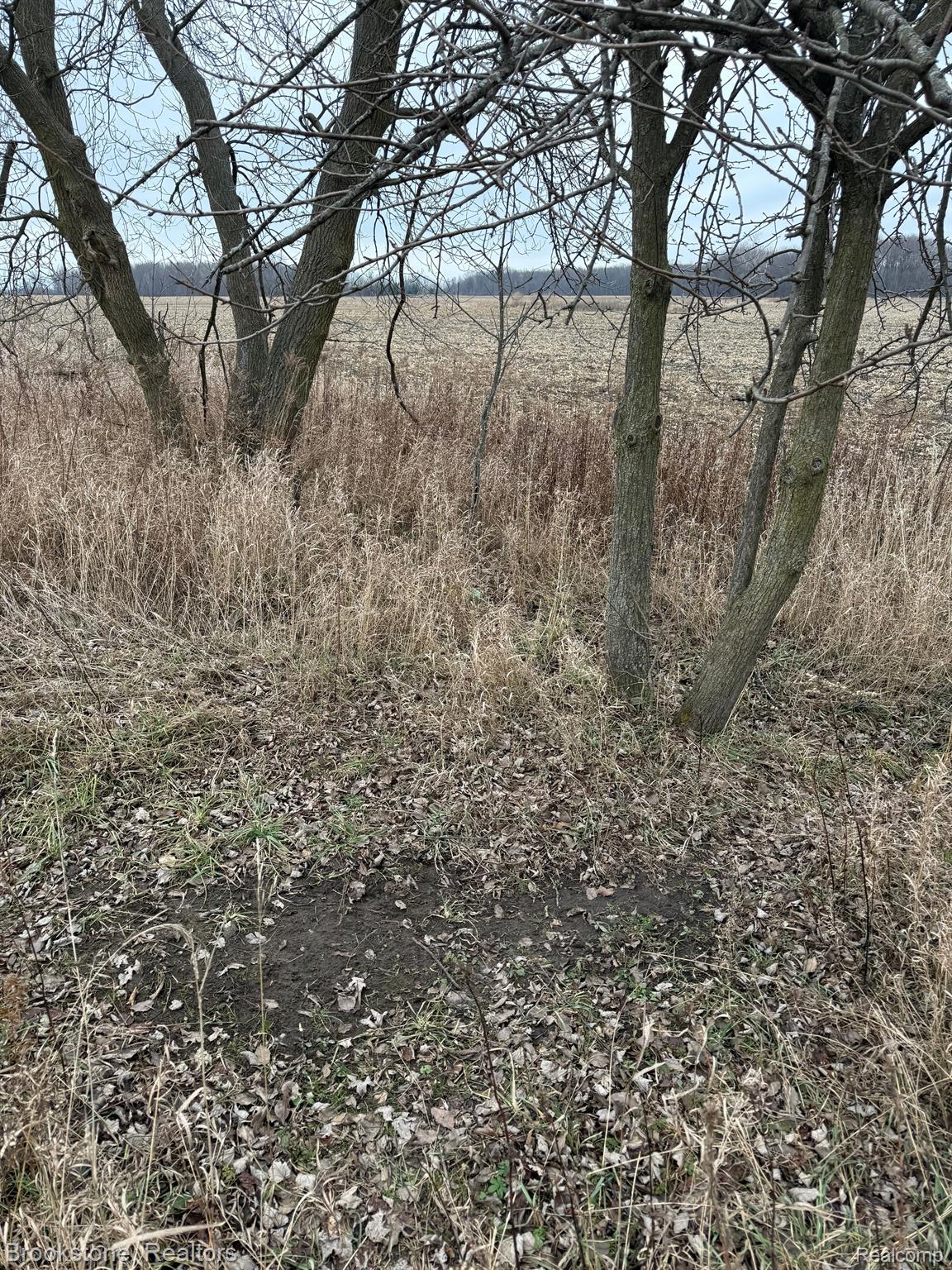 00 Brooks Rd