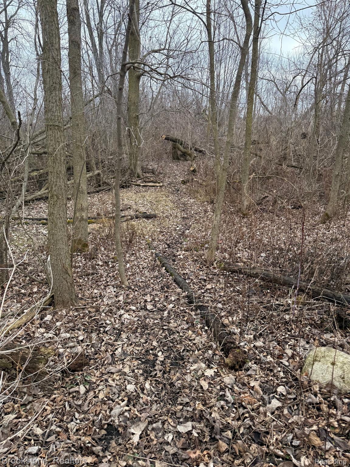 00 Brooks Rd