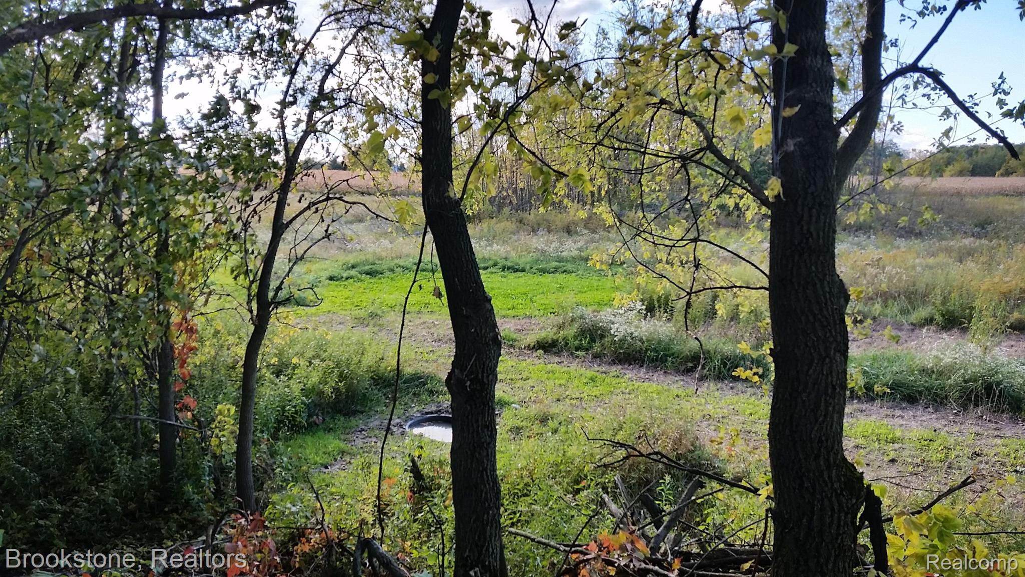00 Brooks Rd