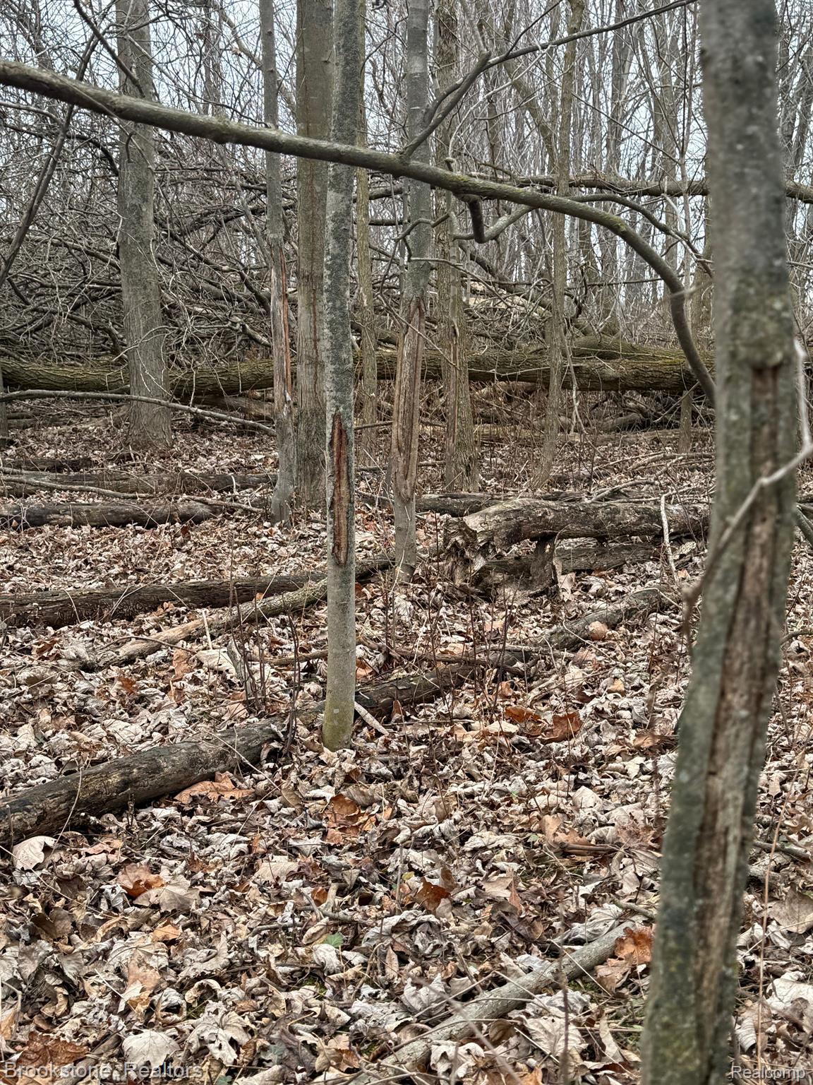 00 Brooks Rd