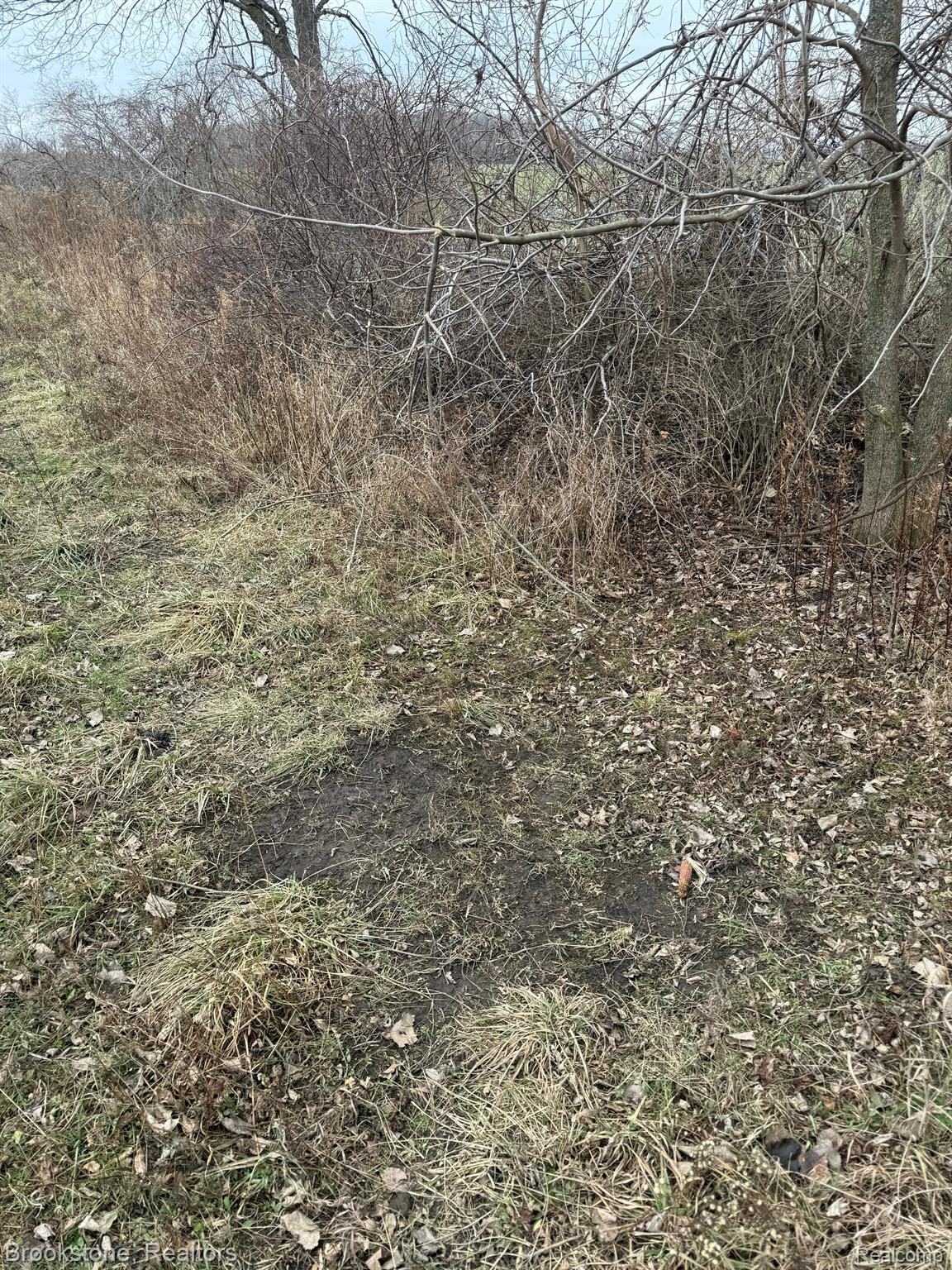 00 Brooks Rd