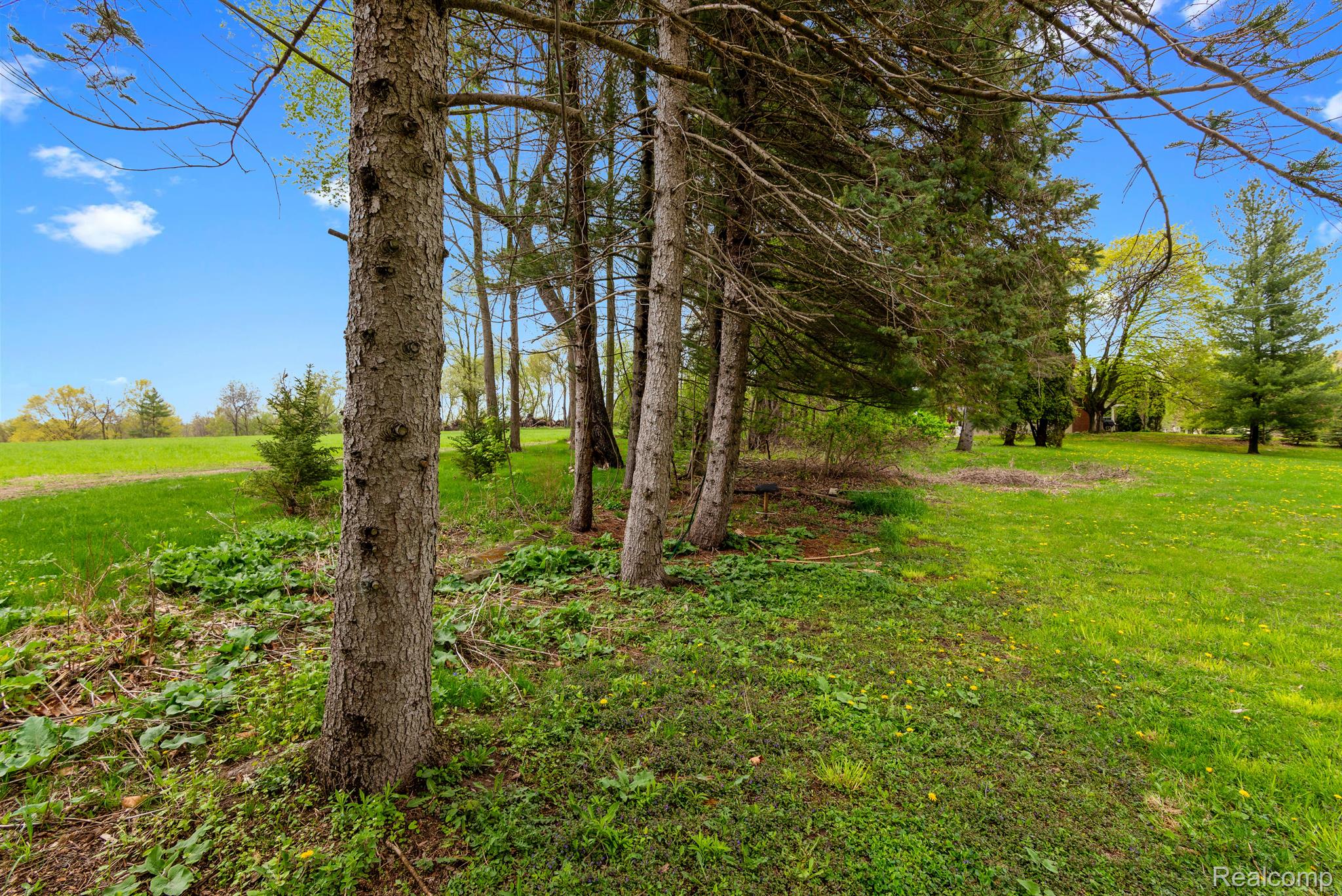 659 N VAN DYKE Road