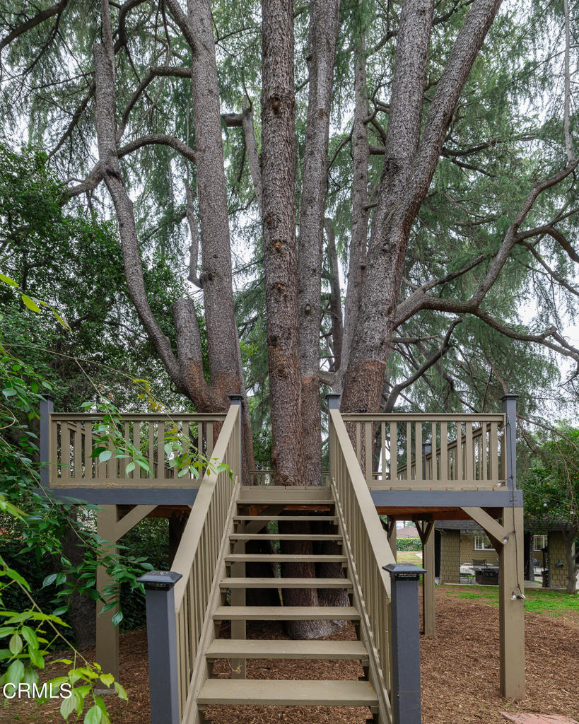 351 E Calaveras Street