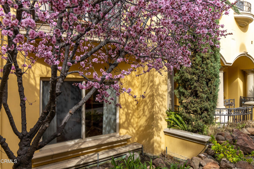 845 S Marengo Avenue 5