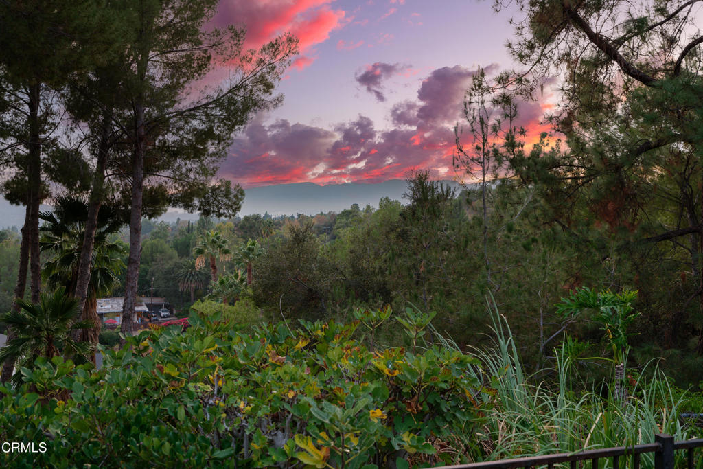 516 Venado Vista Drive