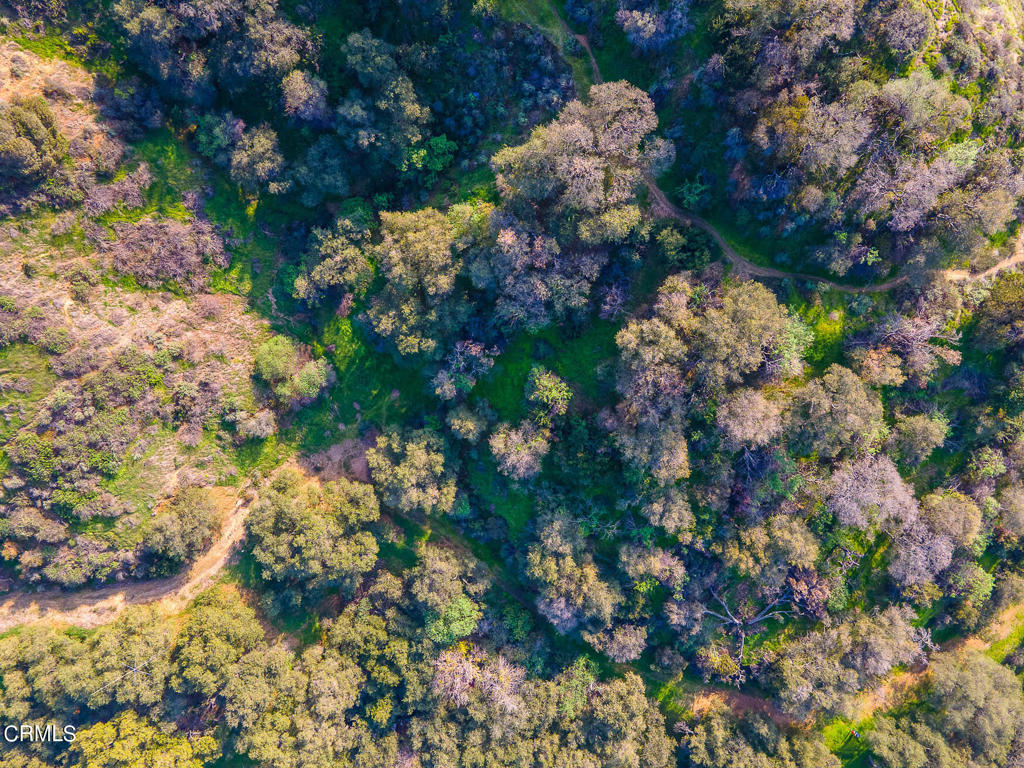 6 Vista Del Verde Drive