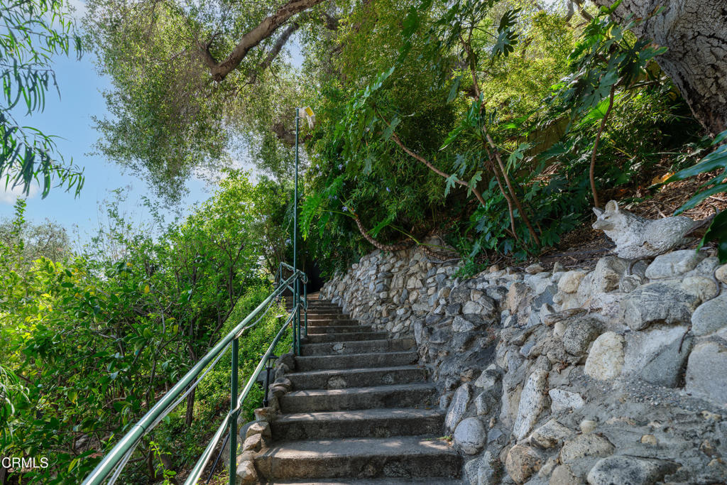 481 Woodland Drive