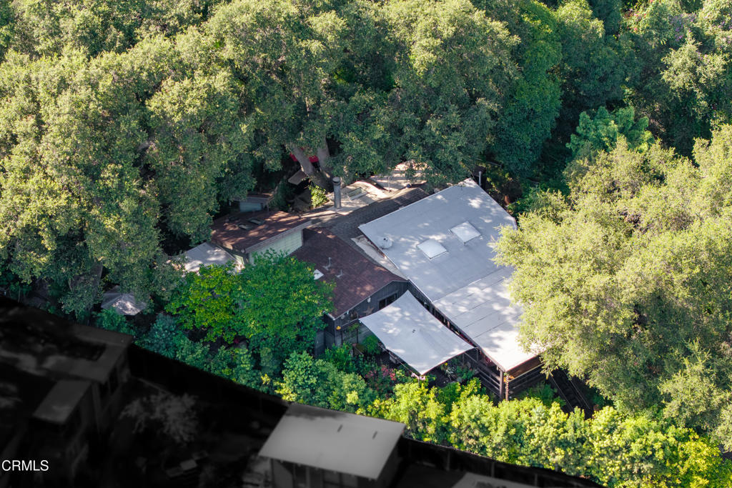 481 Woodland Drive