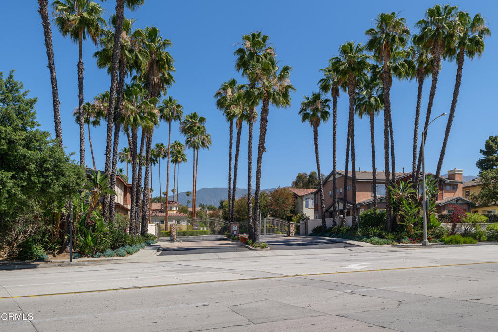 1099 Rosewalk Way