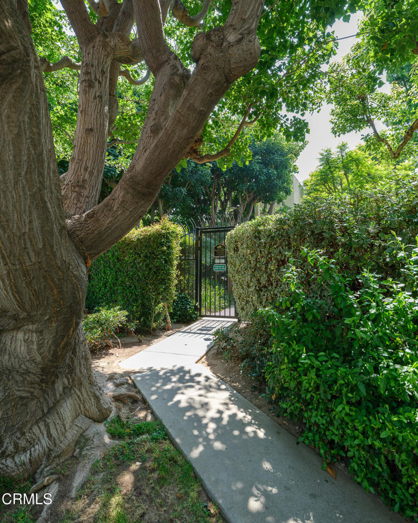 497 E California Boulevard 203